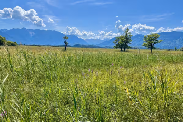 Blick über das Murnauer Moos auf die bayerischen Voralpen und das Wetterstein-Gebirge