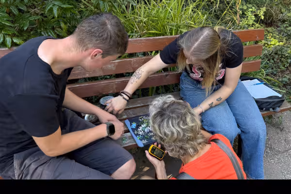 Rätsel lösen, um Indizien zu finden