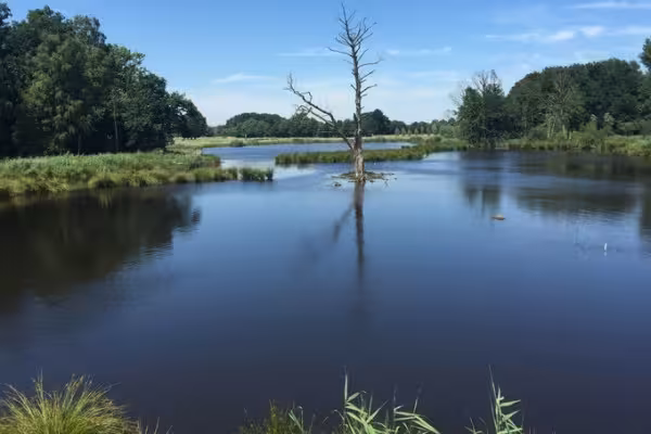 grandioser Blick über die Seen und Wälder rund um das Schloss Krickenbeck
