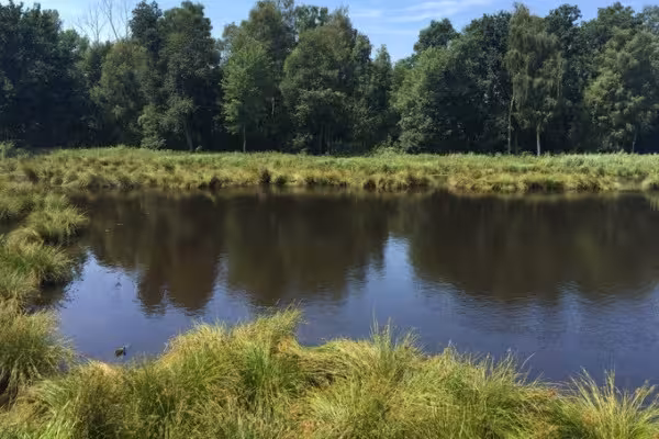 Krickenbecker Seenplatte