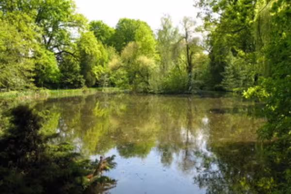 Der Mühlteich erinnert noch an die Wassermühle.