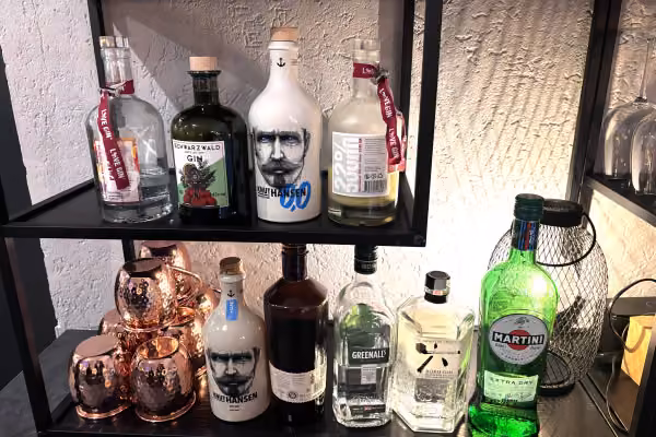 Gin Auswahl