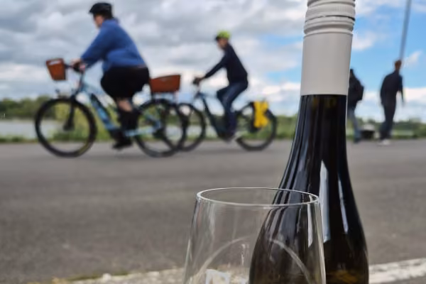 Weinentdeckertour am Mainzer Weinufer mit Fahrradfahern
