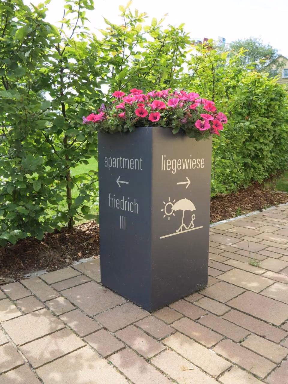 Bild der Unterkunft
