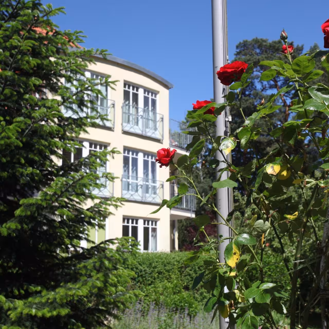 Bild der Unterkunft