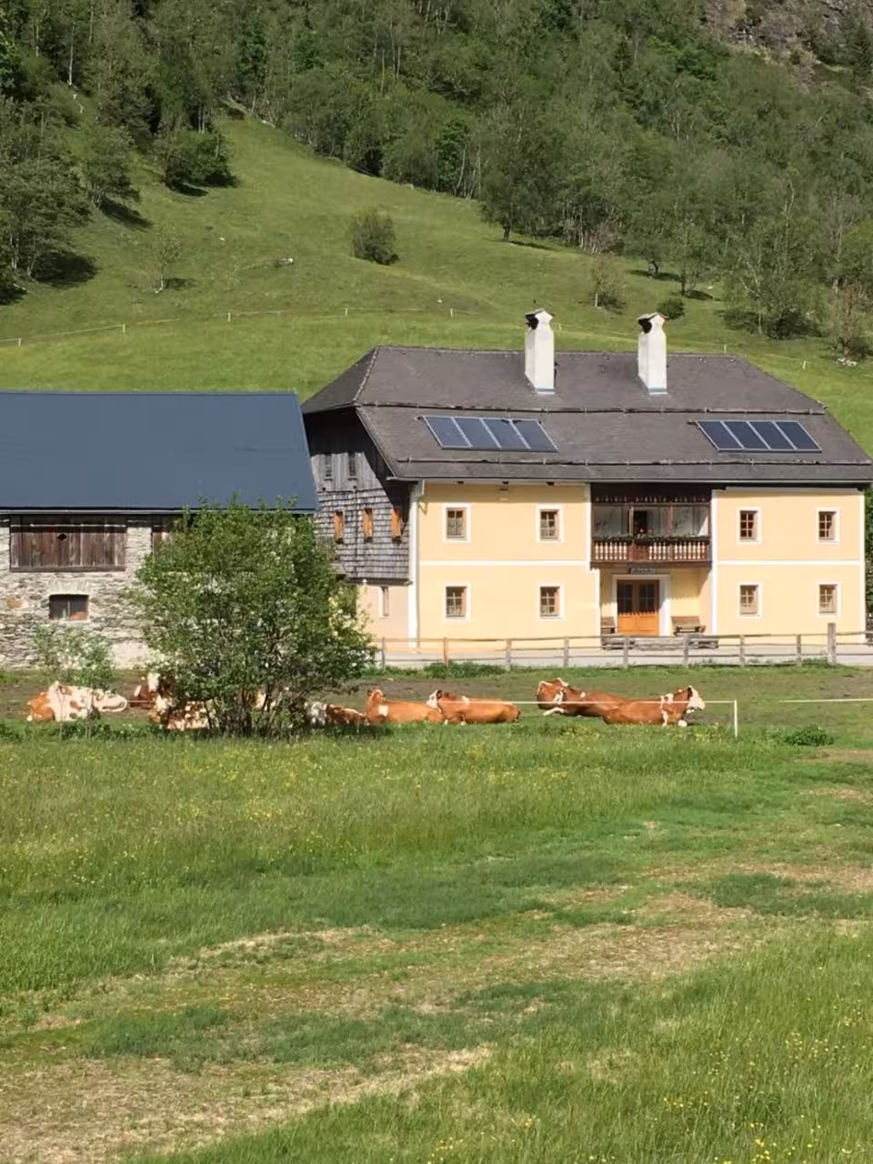 Bild der Unterkunft