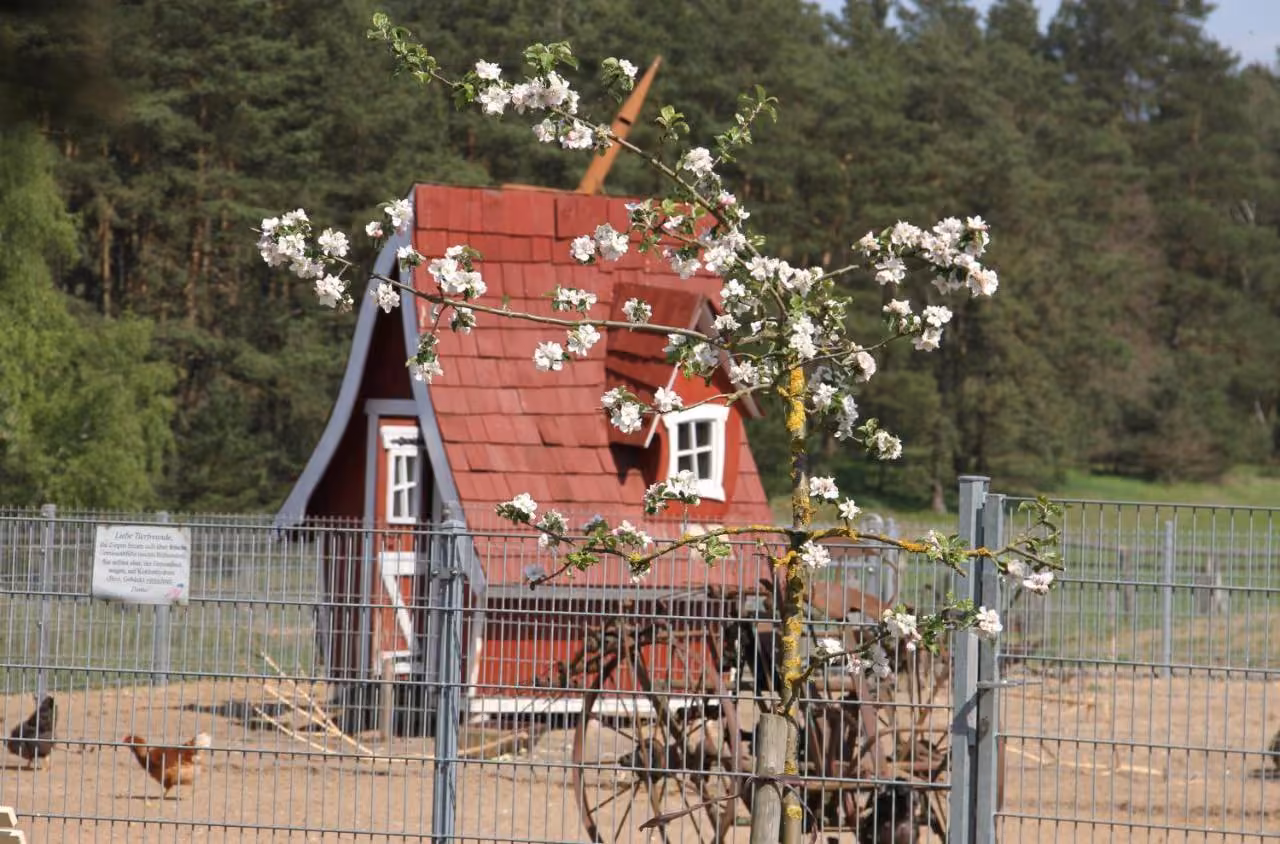 Bild der Unterkunft