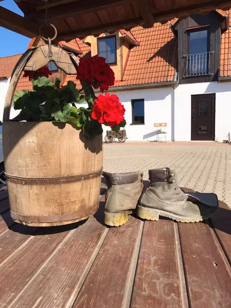 Bild der Unterkunft