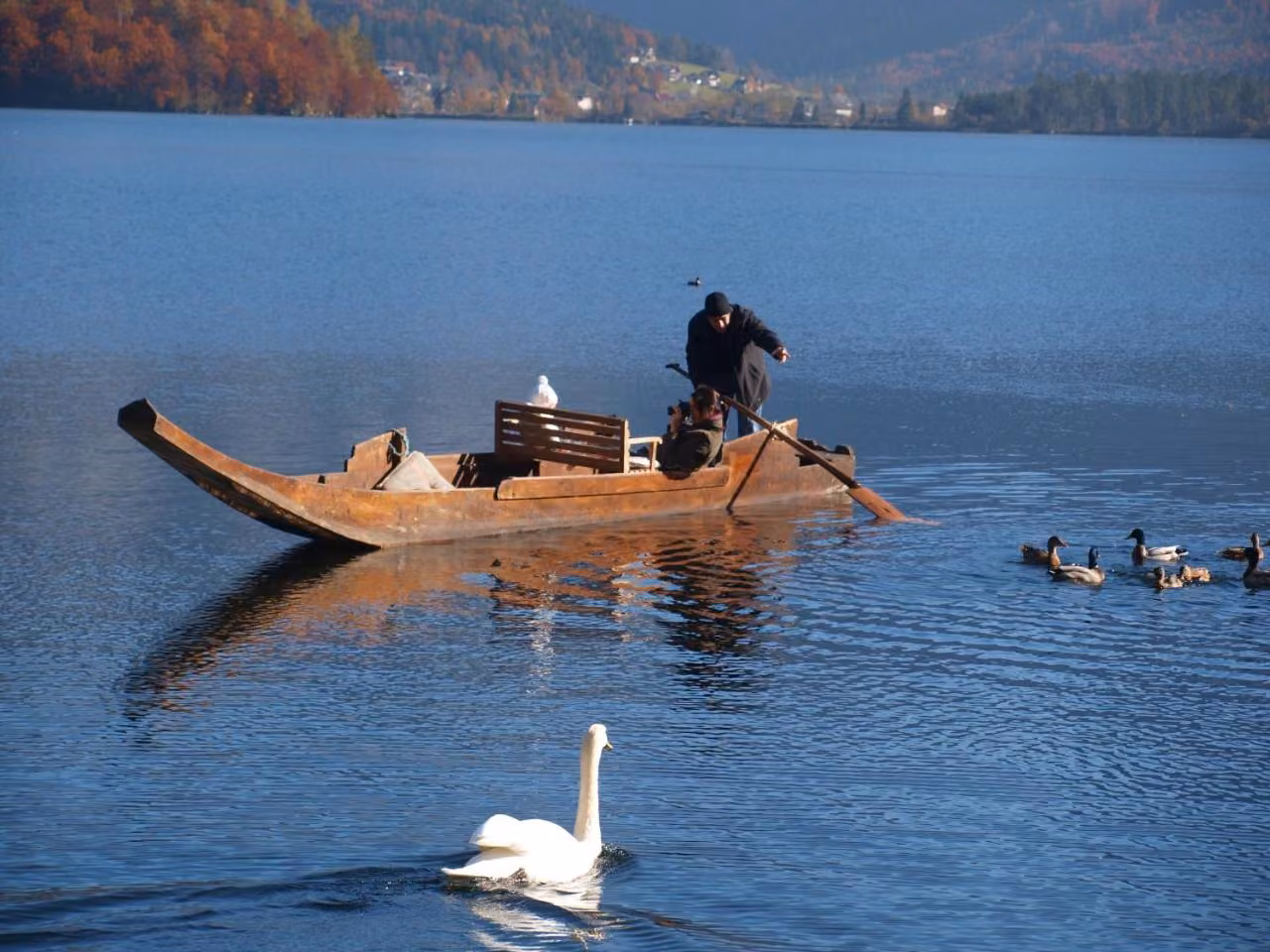 Bild der Unterkunft