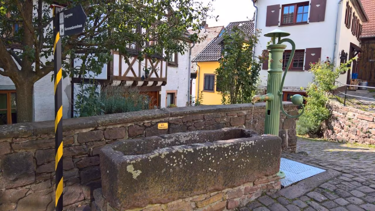 Bild der Unterkunft