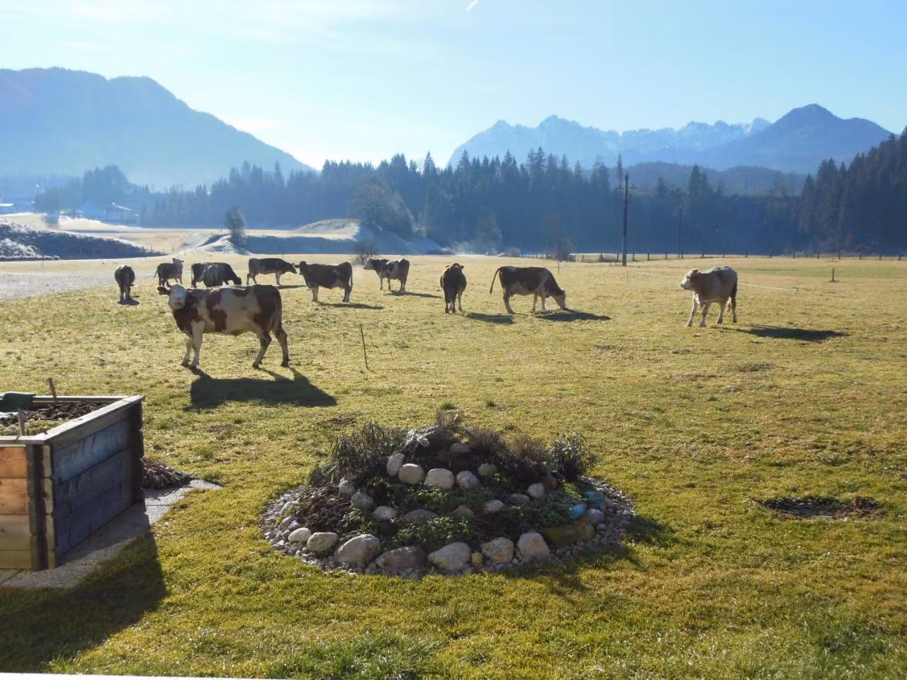 Bild der Unterkunft