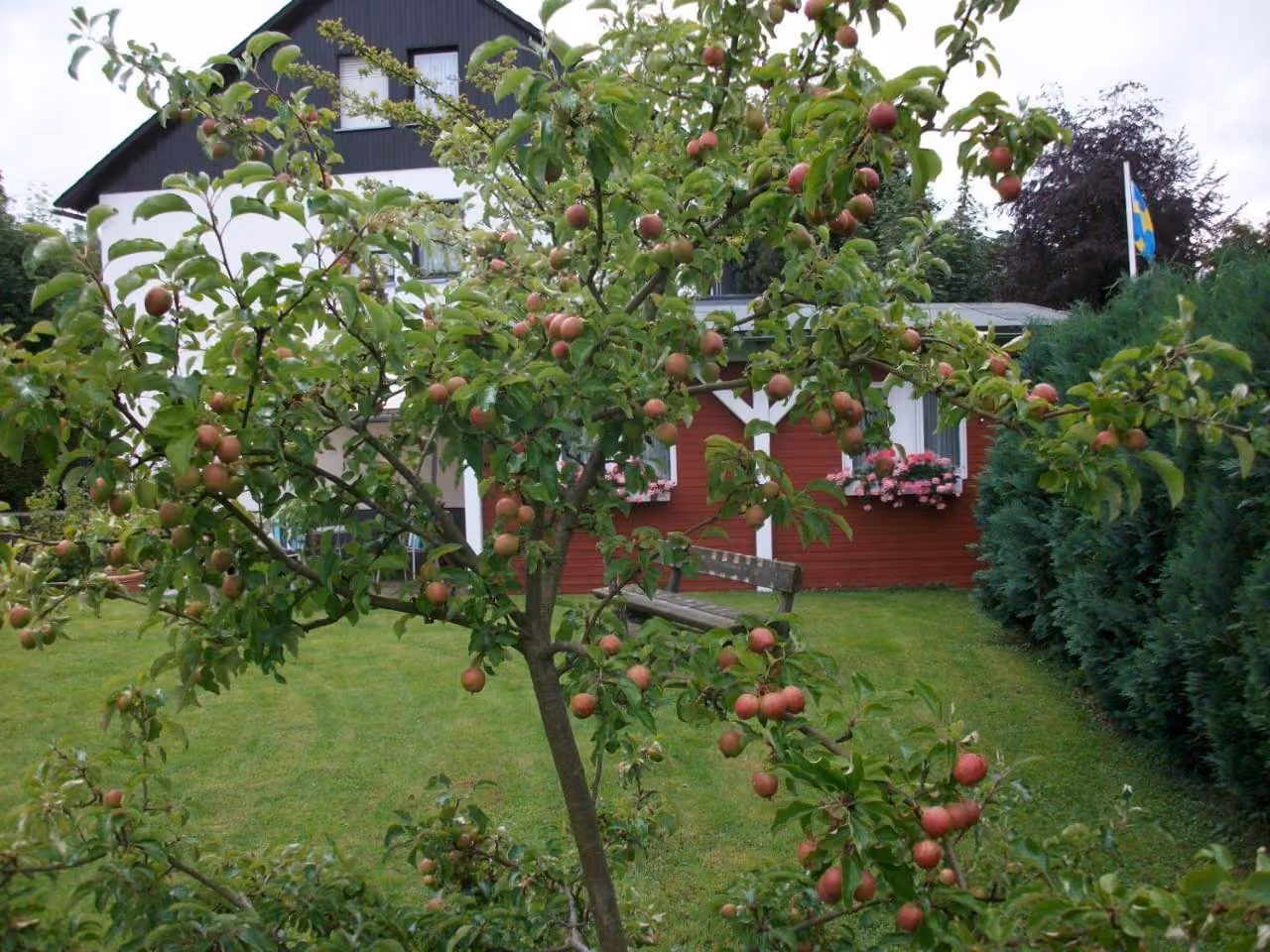 Bild der Unterkunft