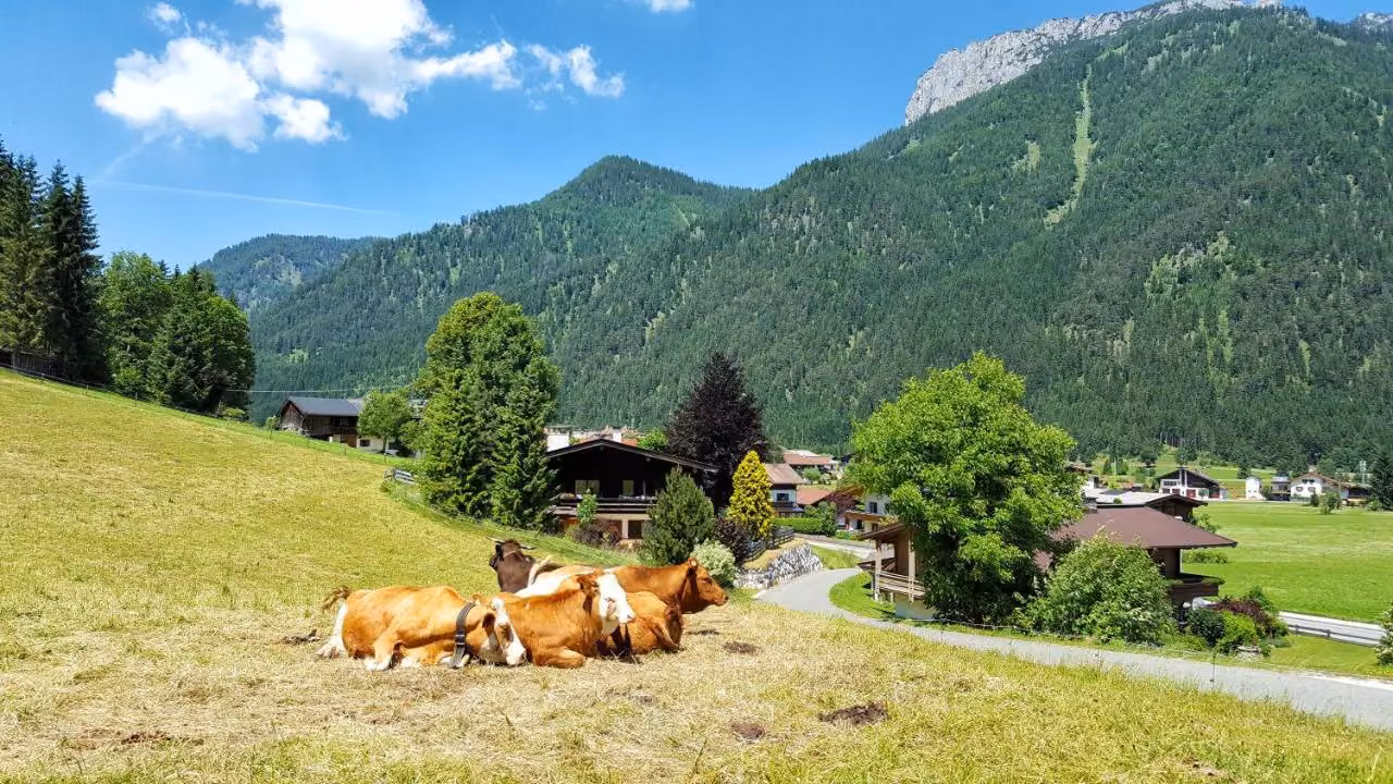 Bild der Unterkunft
