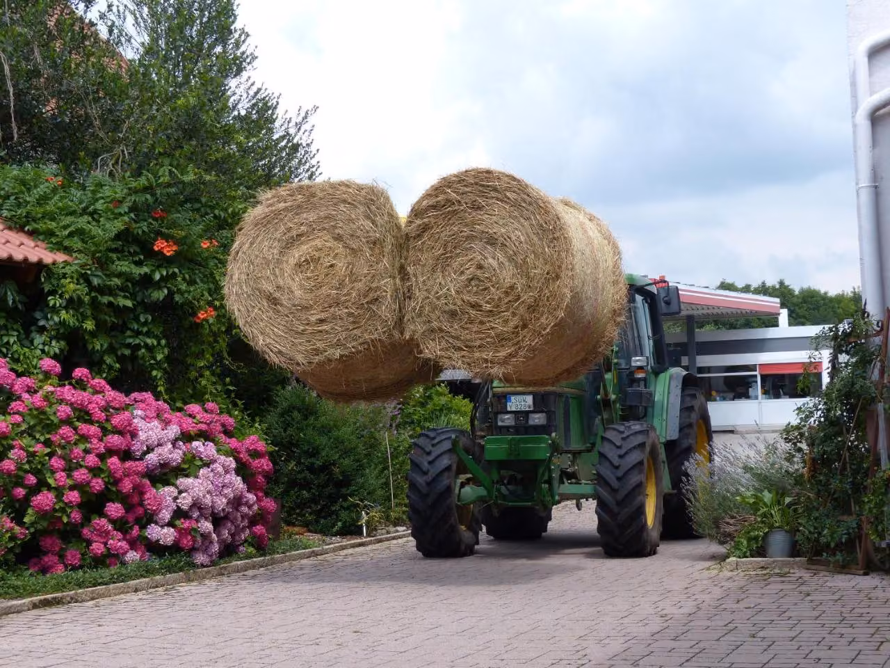 Bild der Unterkunft