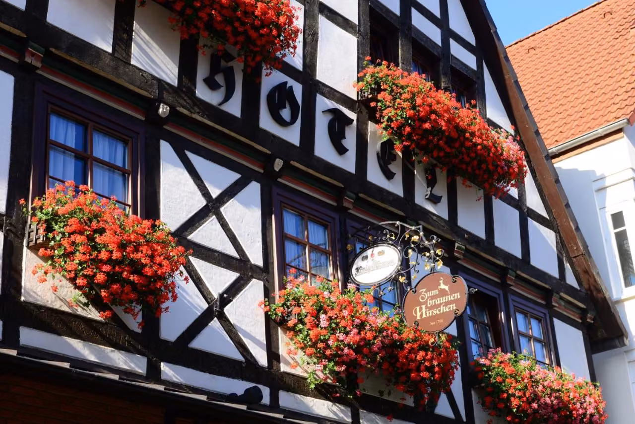 Bild der Unterkunft