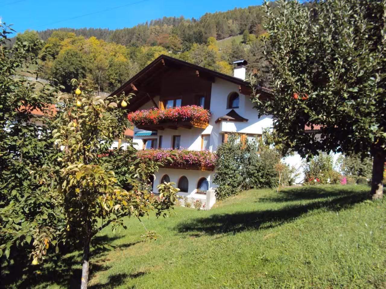 Bild der Unterkunft