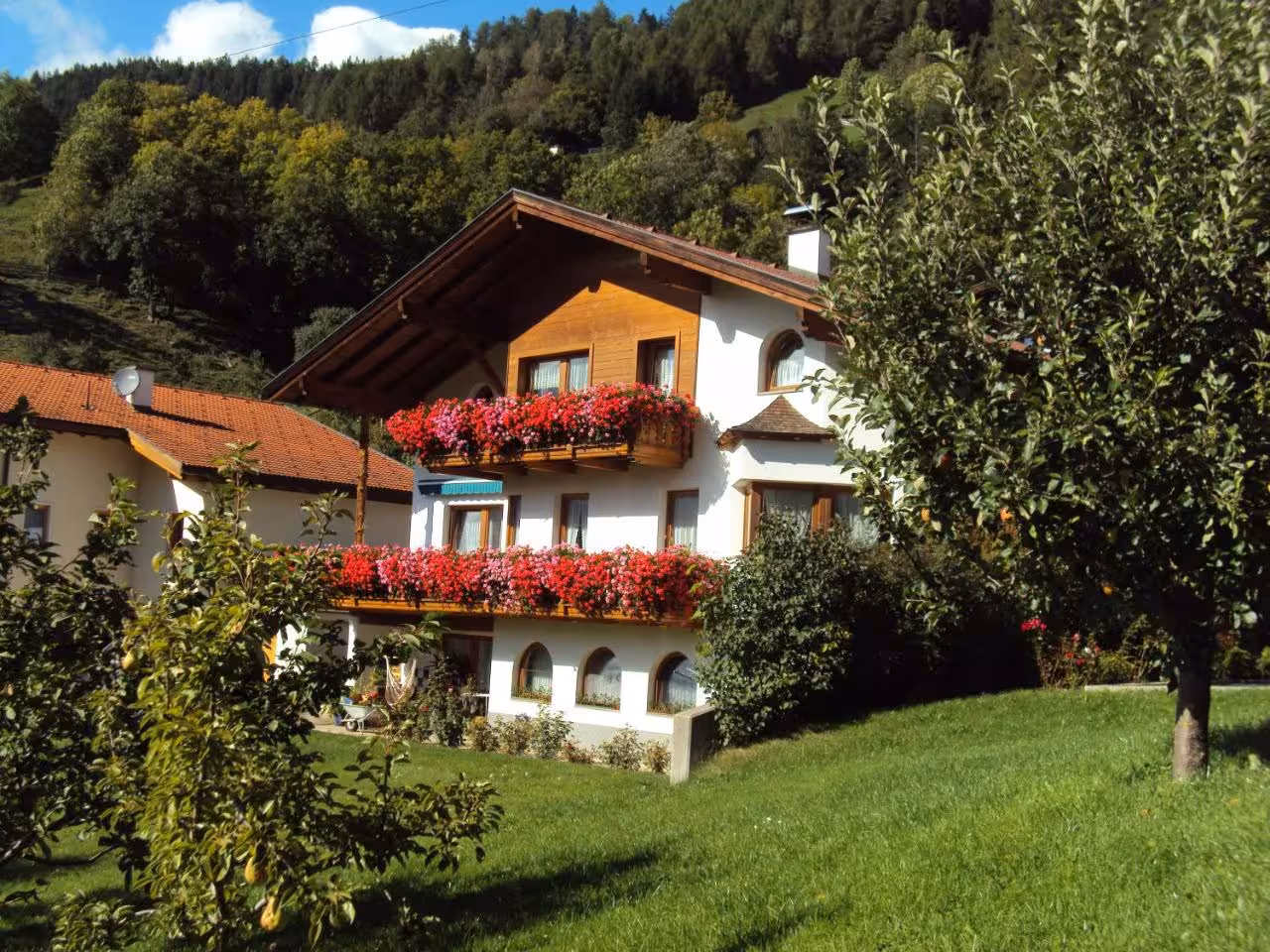Bild der Unterkunft