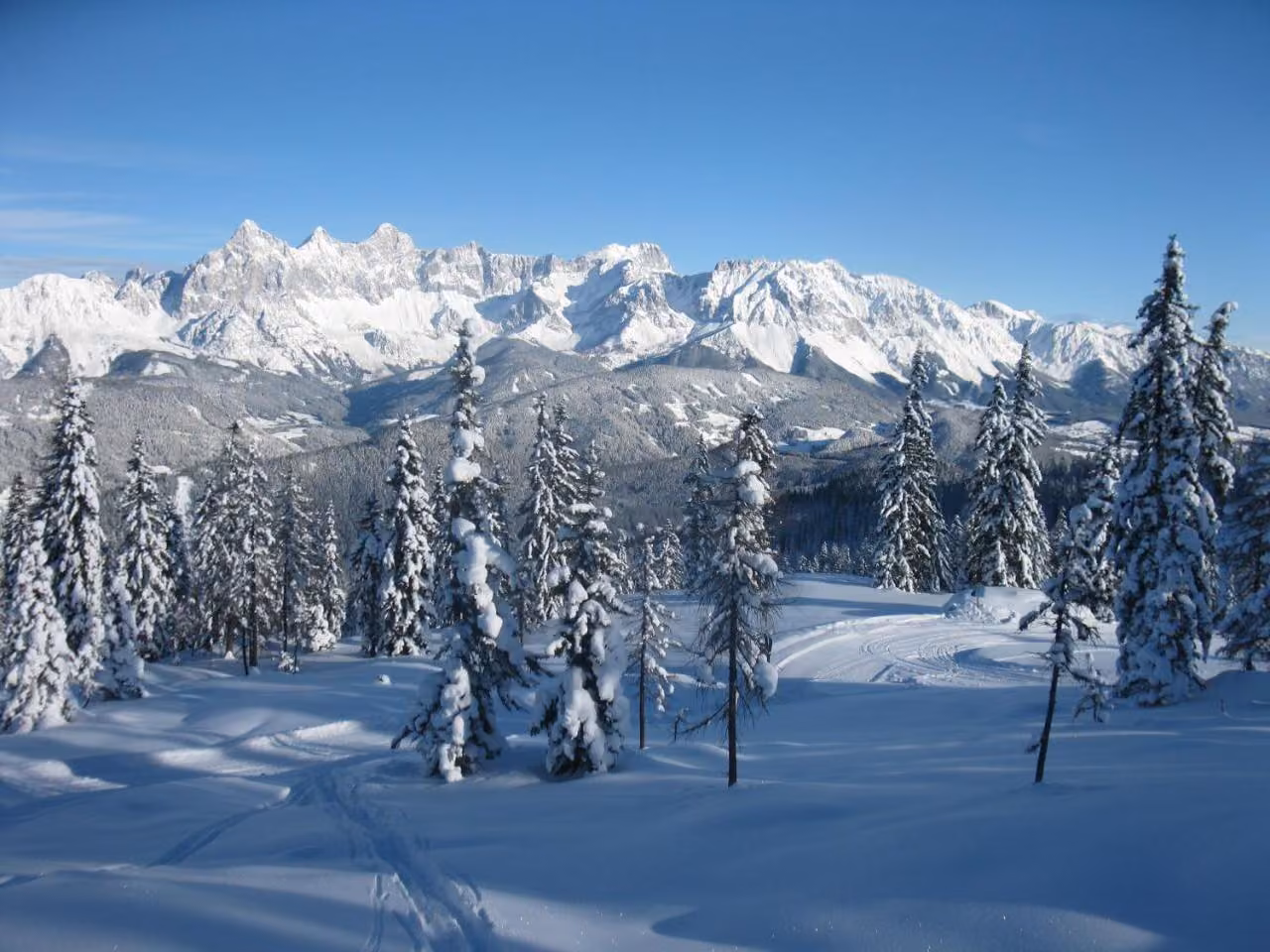 Bild der Unterkunft