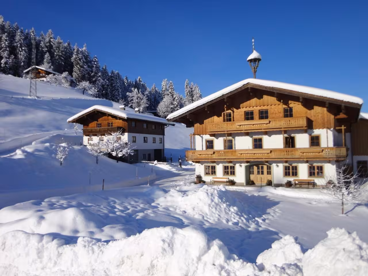 Bild der Unterkunft