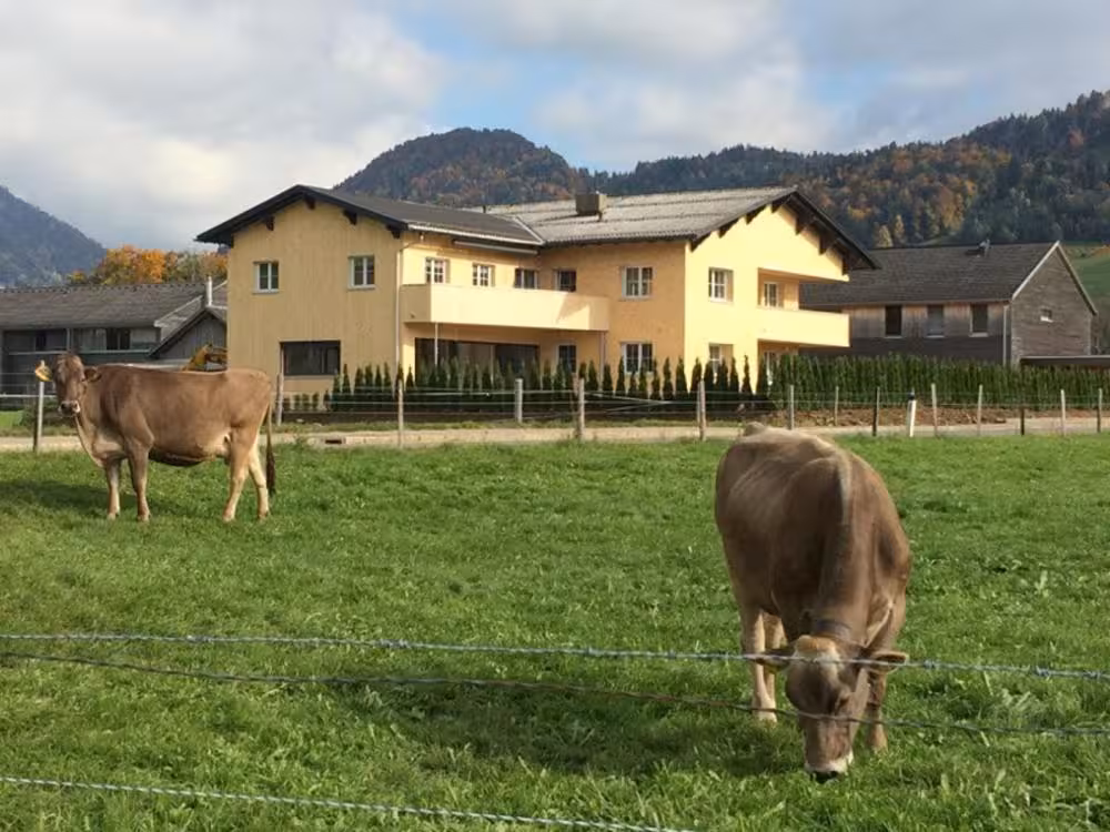 Bild der Unterkunft