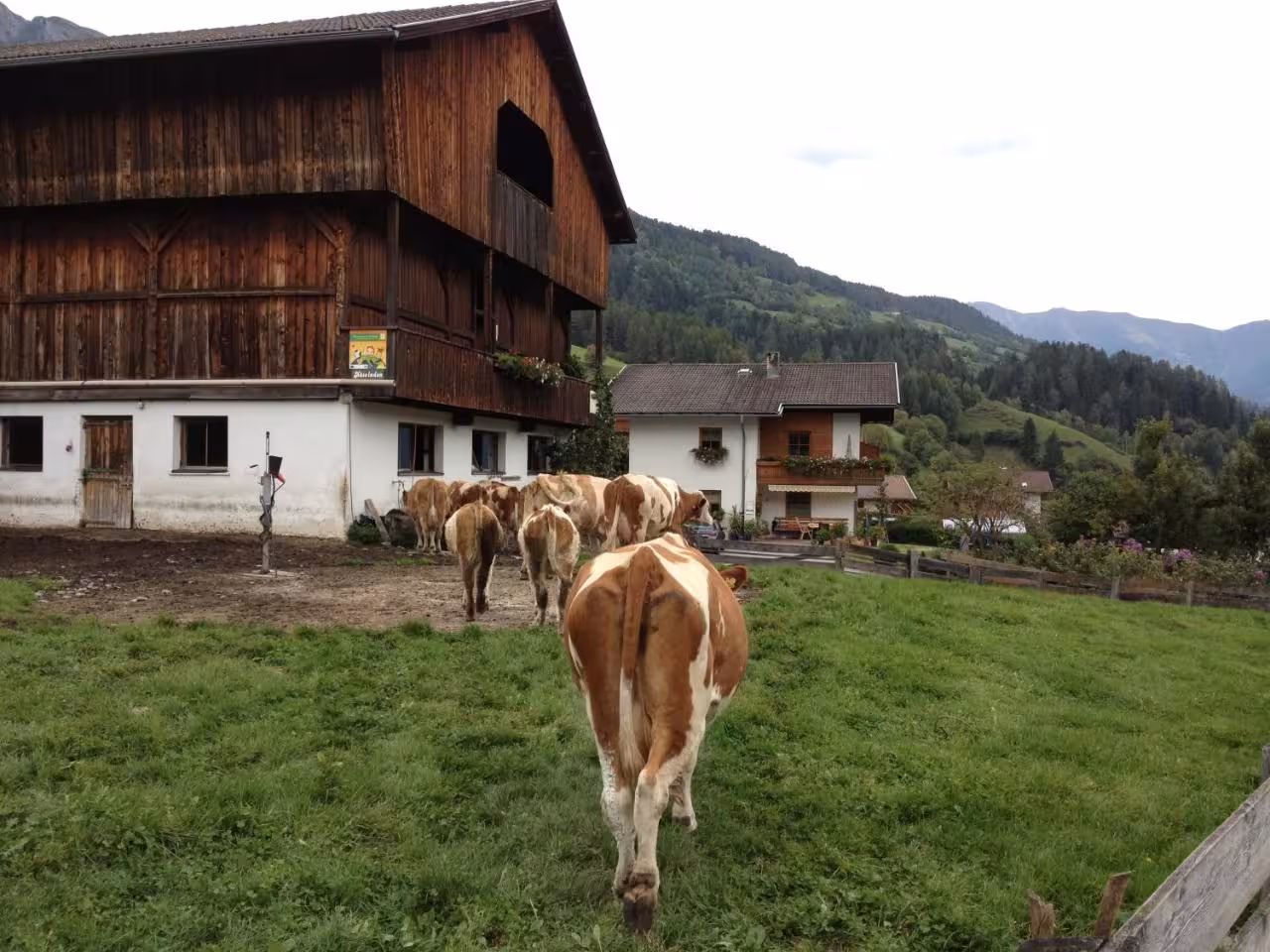 Bild der Unterkunft