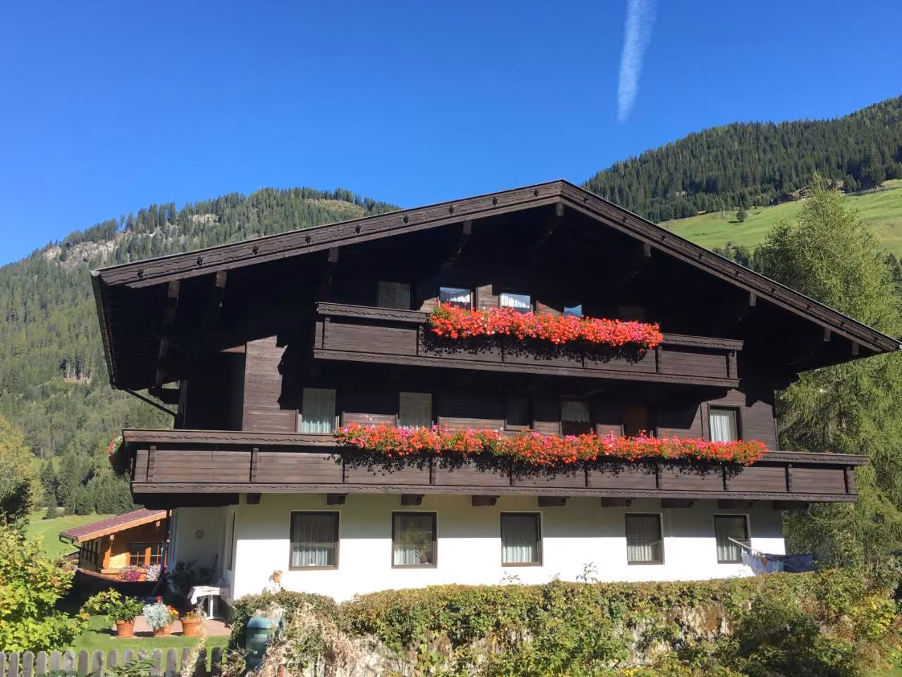 Bild der Unterkunft