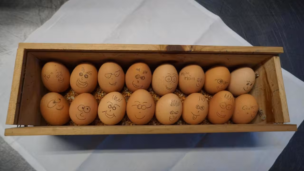 Bild der Unterkunft