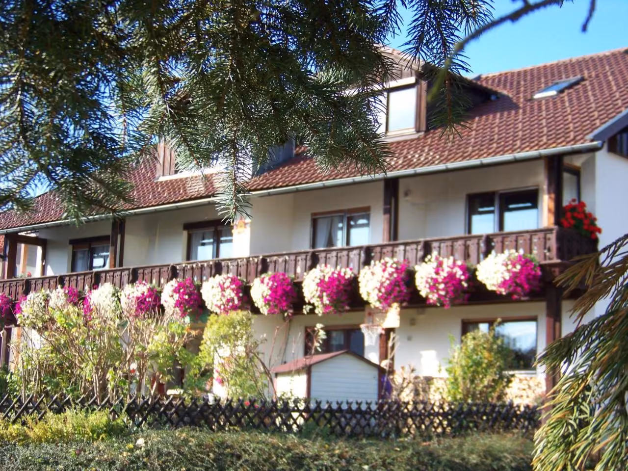 Bild der Unterkunft