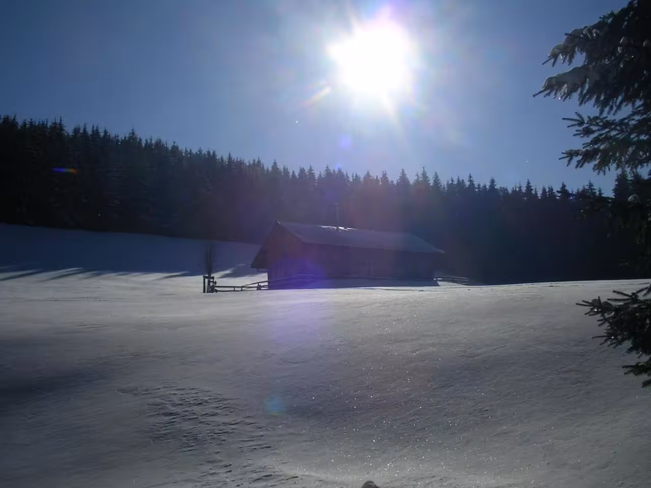 Bild der Unterkunft