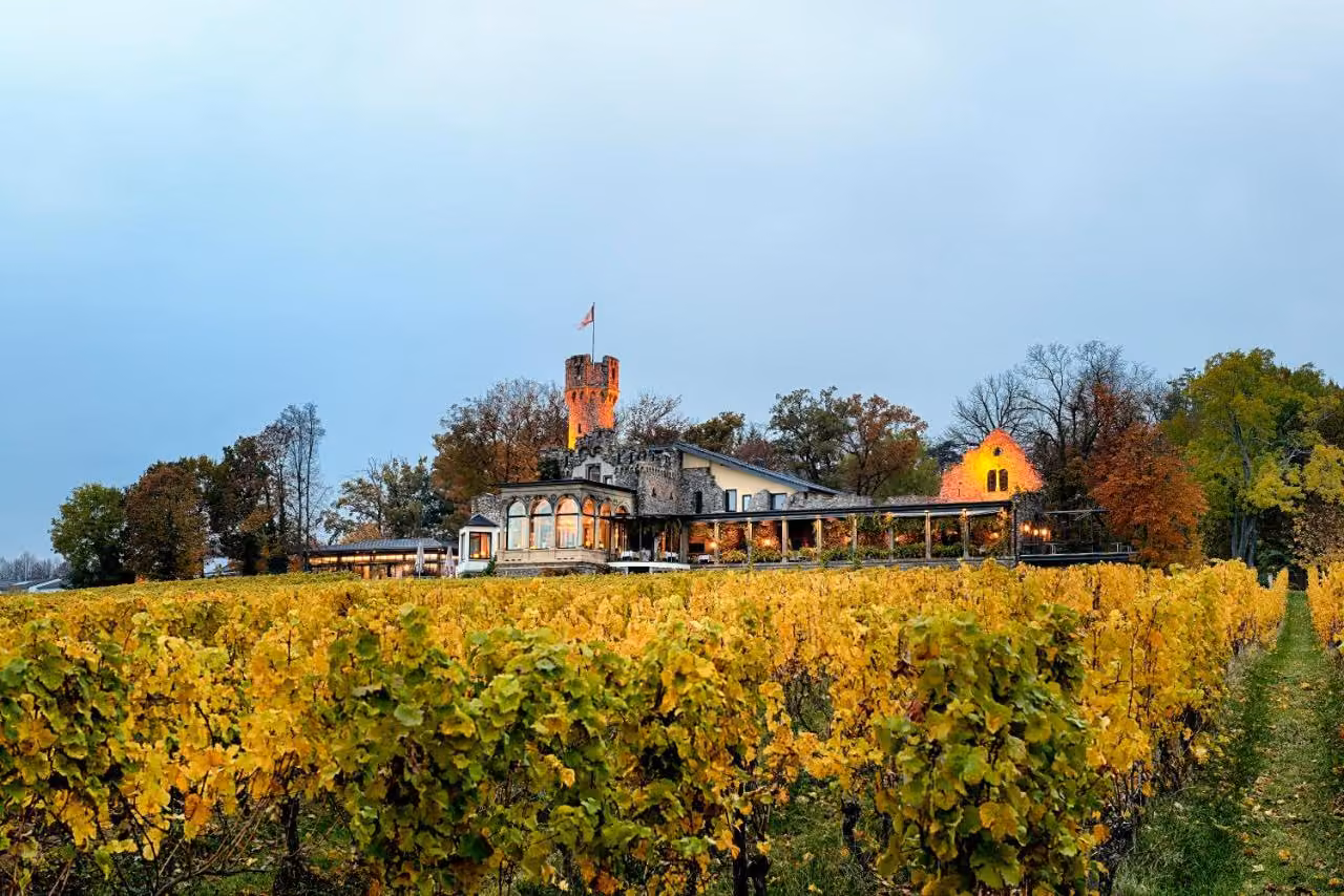 Bild der Unterkunft