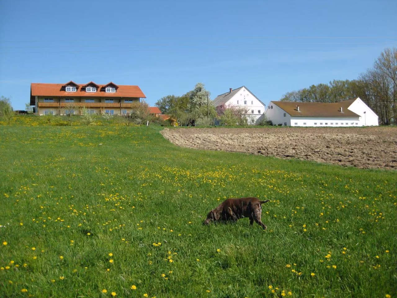 Bild der Unterkunft