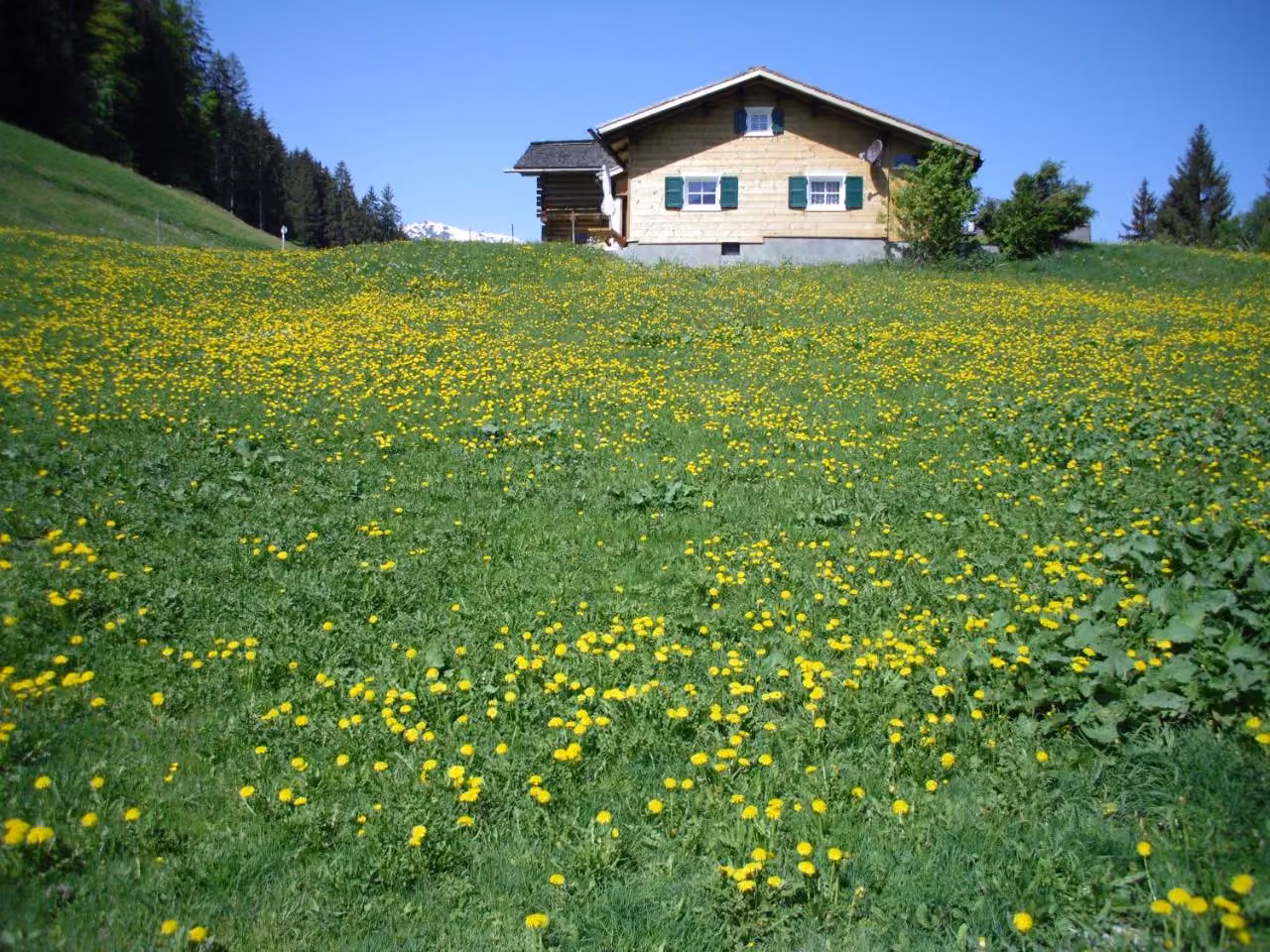 Bild der Unterkunft