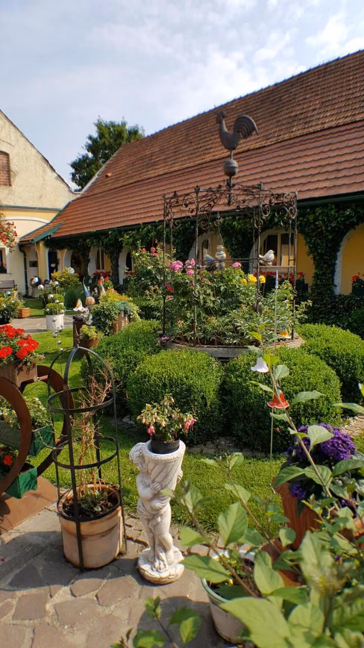 Bild der Unterkunft