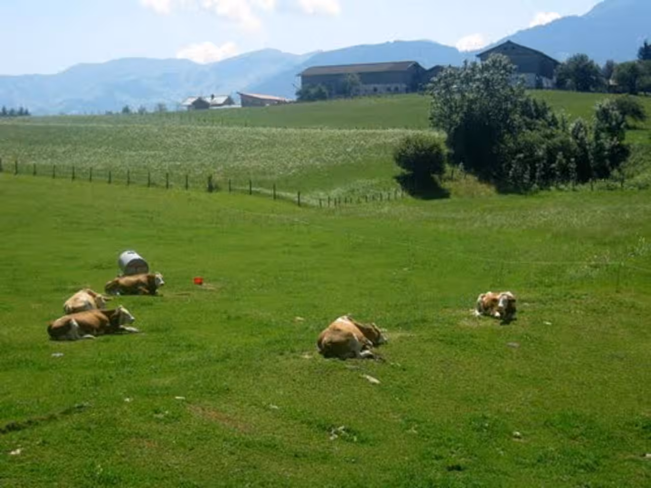 Bild der Unterkunft