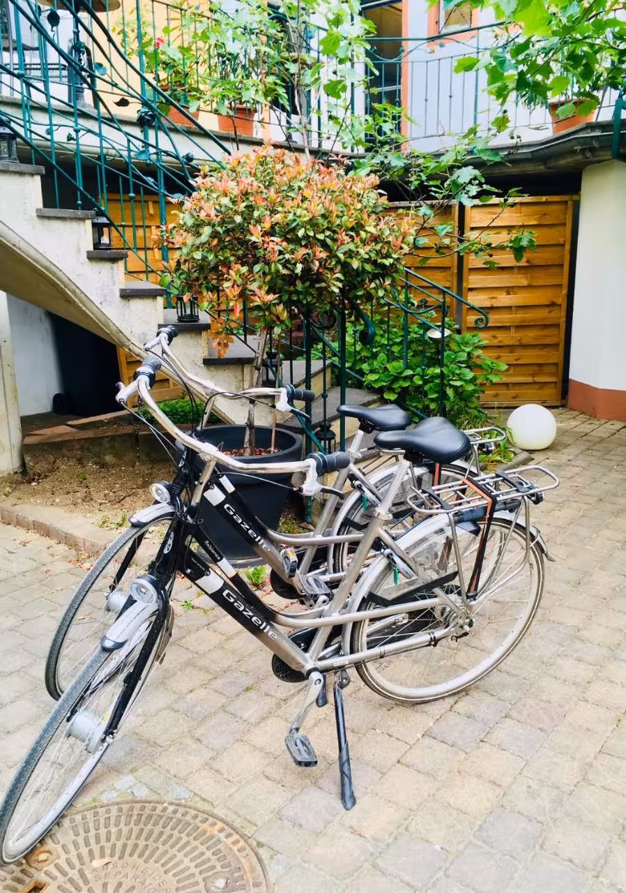 Bild der Unterkunft
