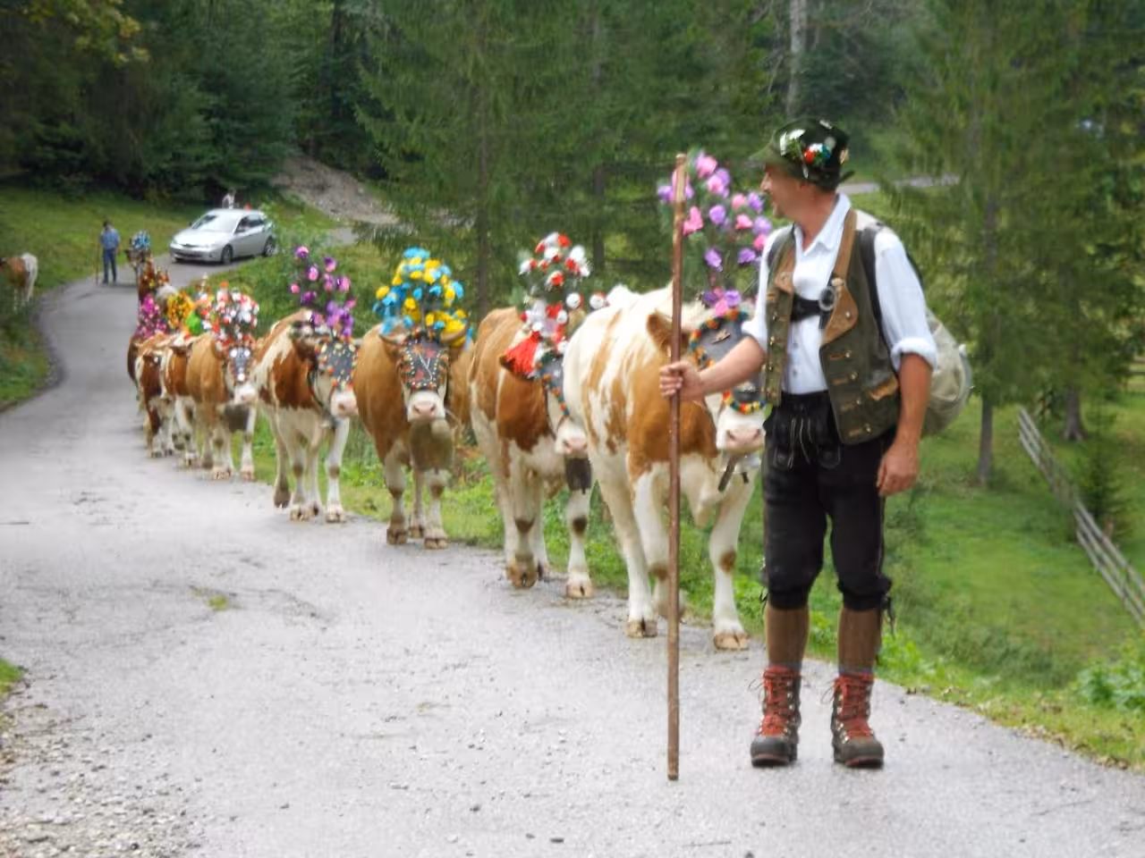 Bild der Unterkunft