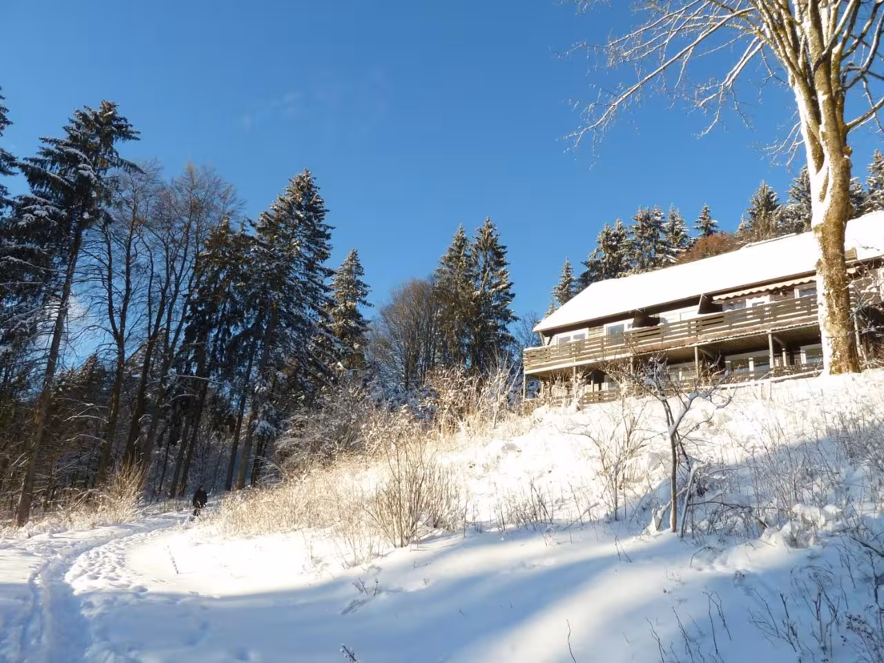 Bild der Unterkunft