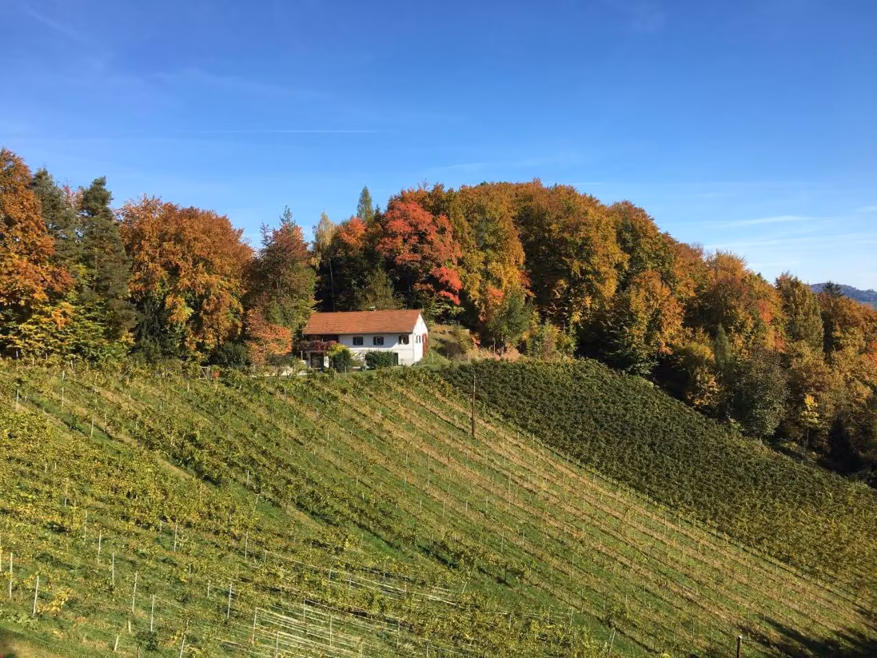 Bild der Unterkunft