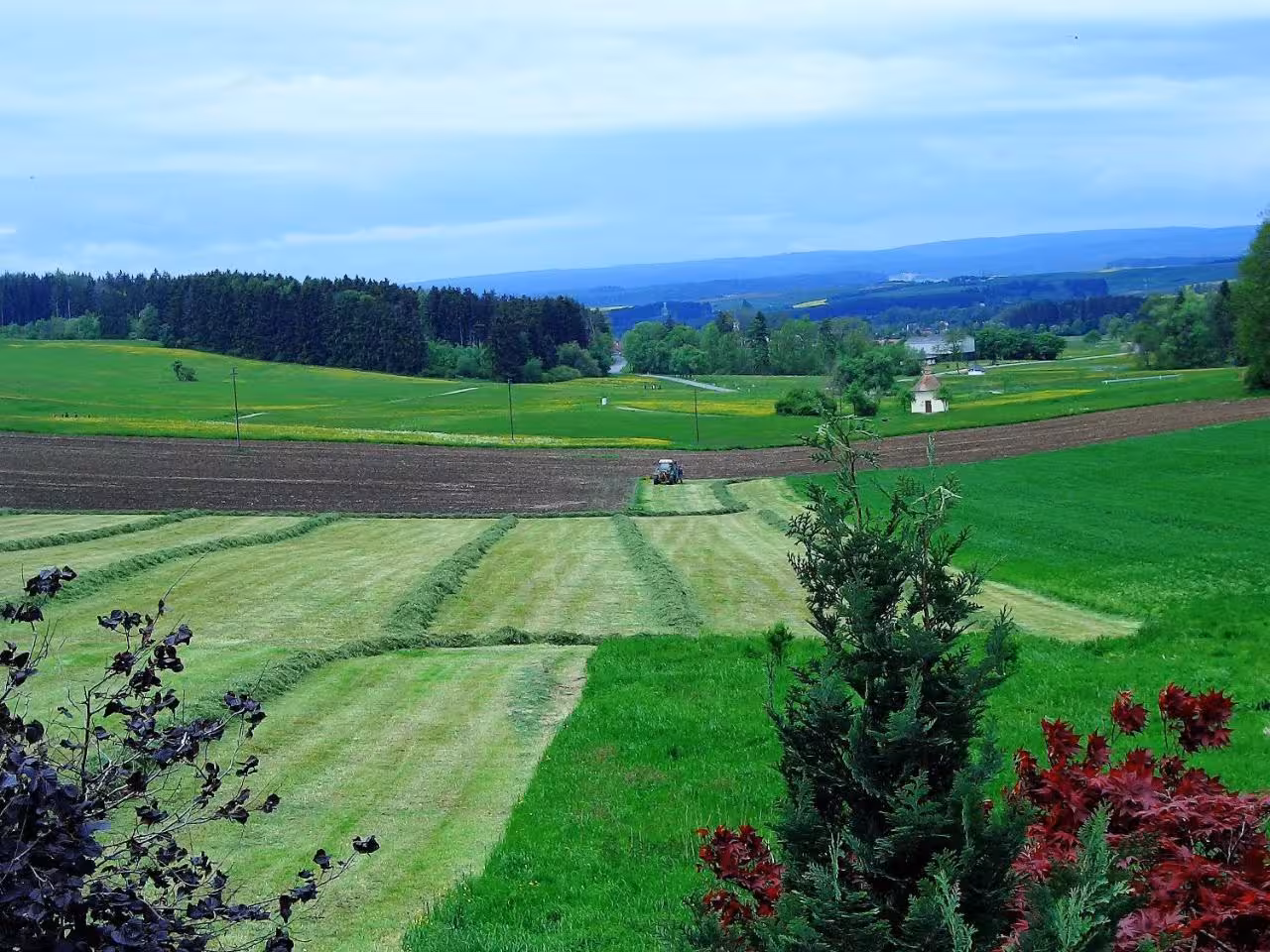 Bild der Unterkunft