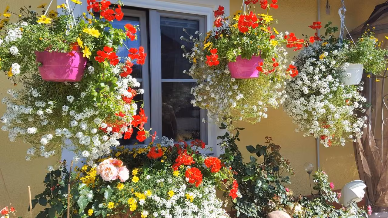Bild der Unterkunft