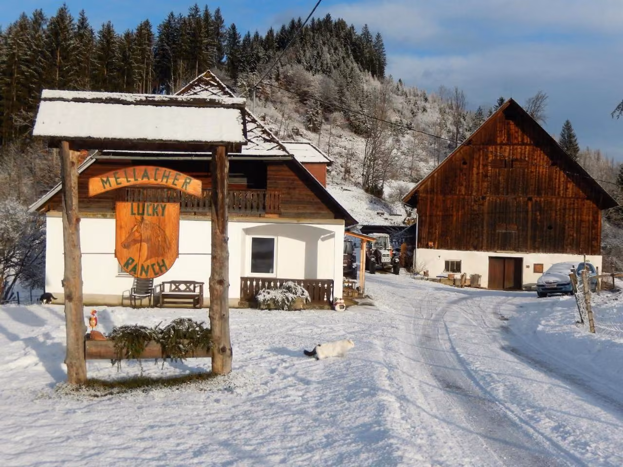 Bild der Unterkunft
