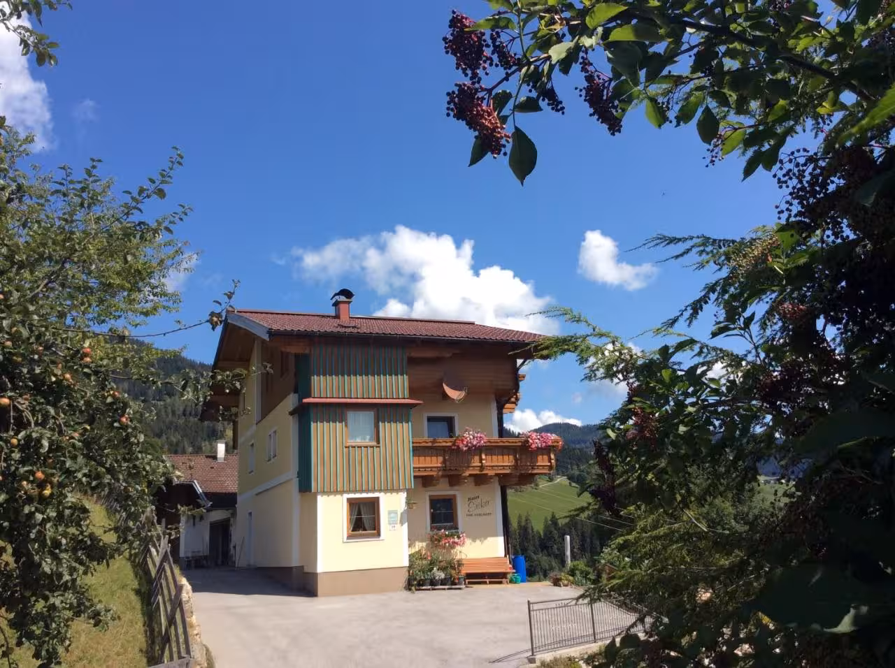 Bild der Unterkunft
