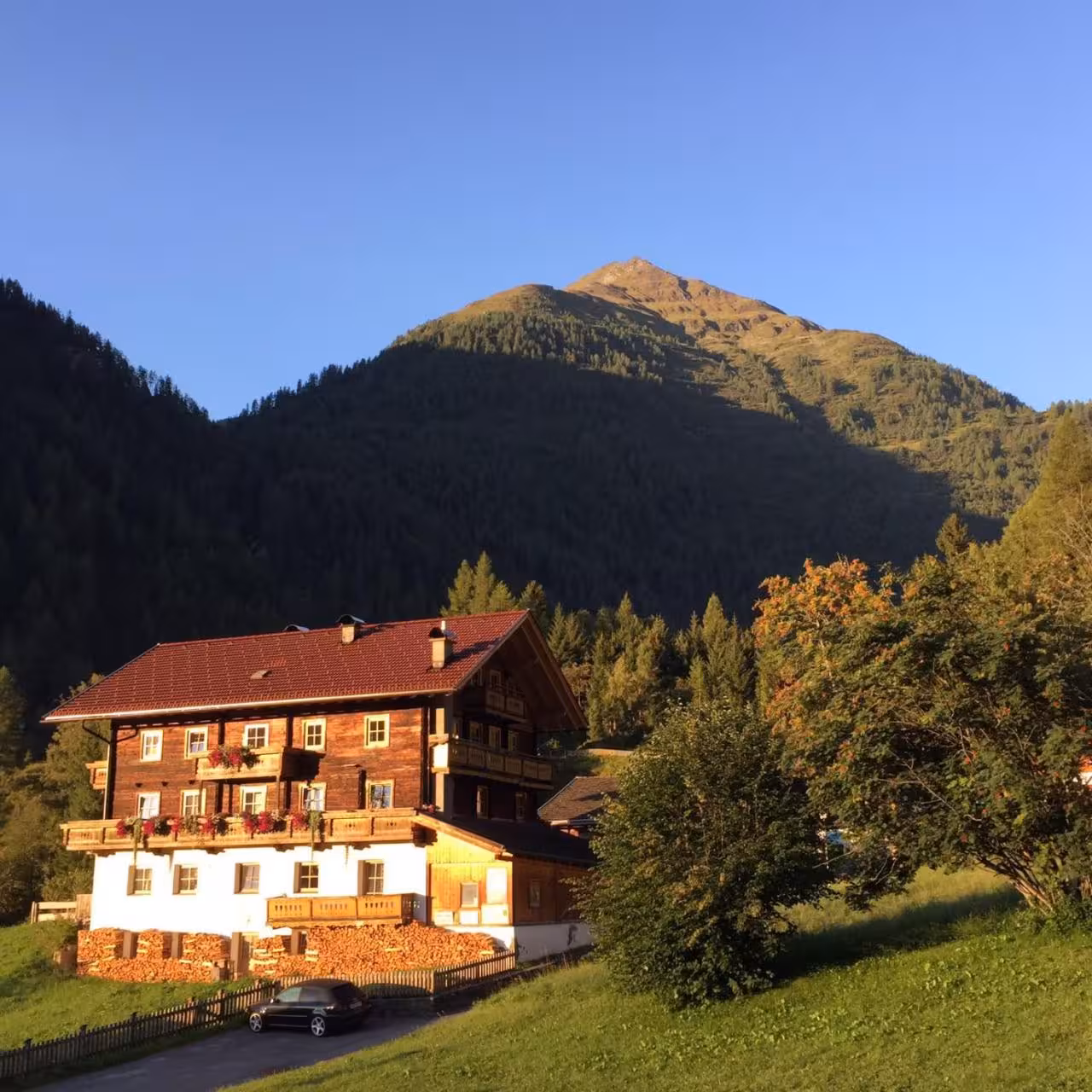 Bild der Unterkunft