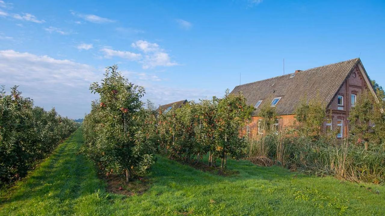 Bild der Unterkunft