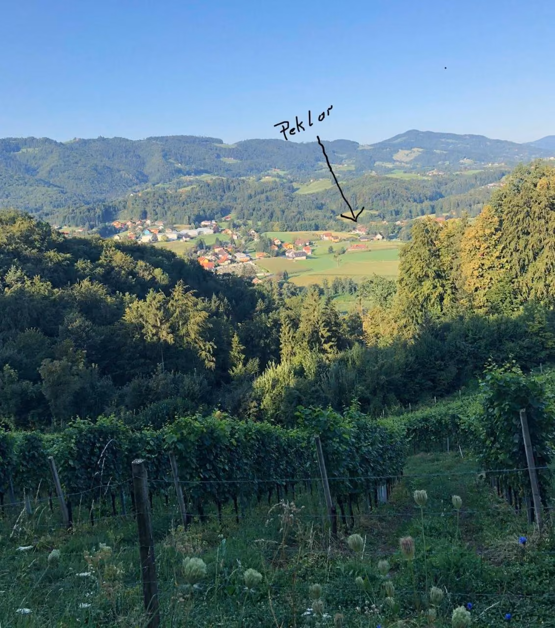 Bild der Unterkunft