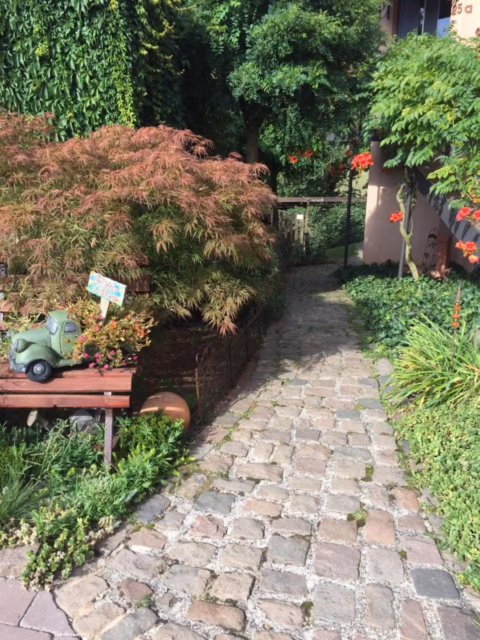 Bild der Unterkunft