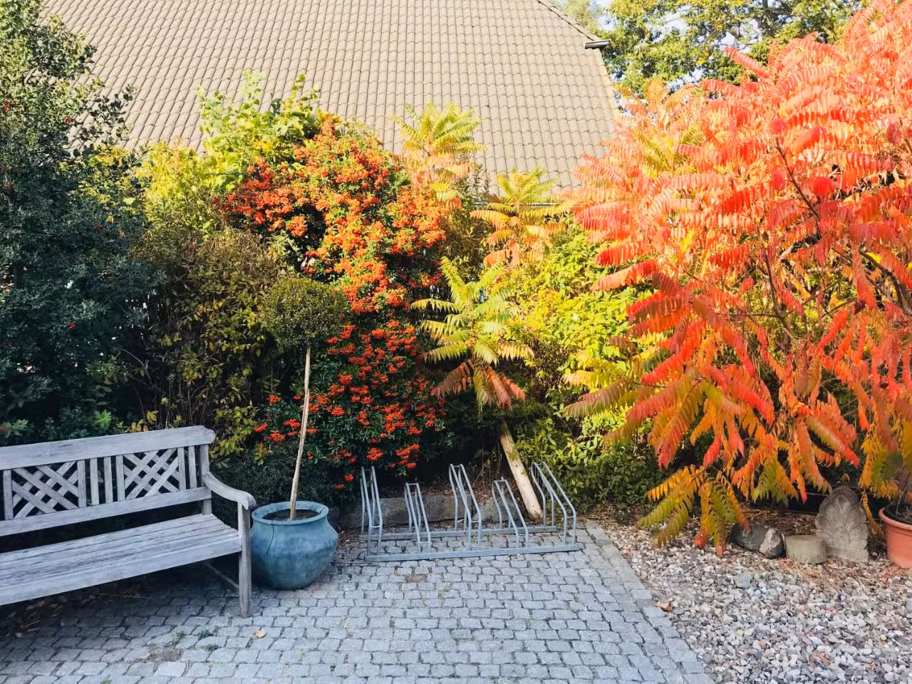 Bild der Unterkunft