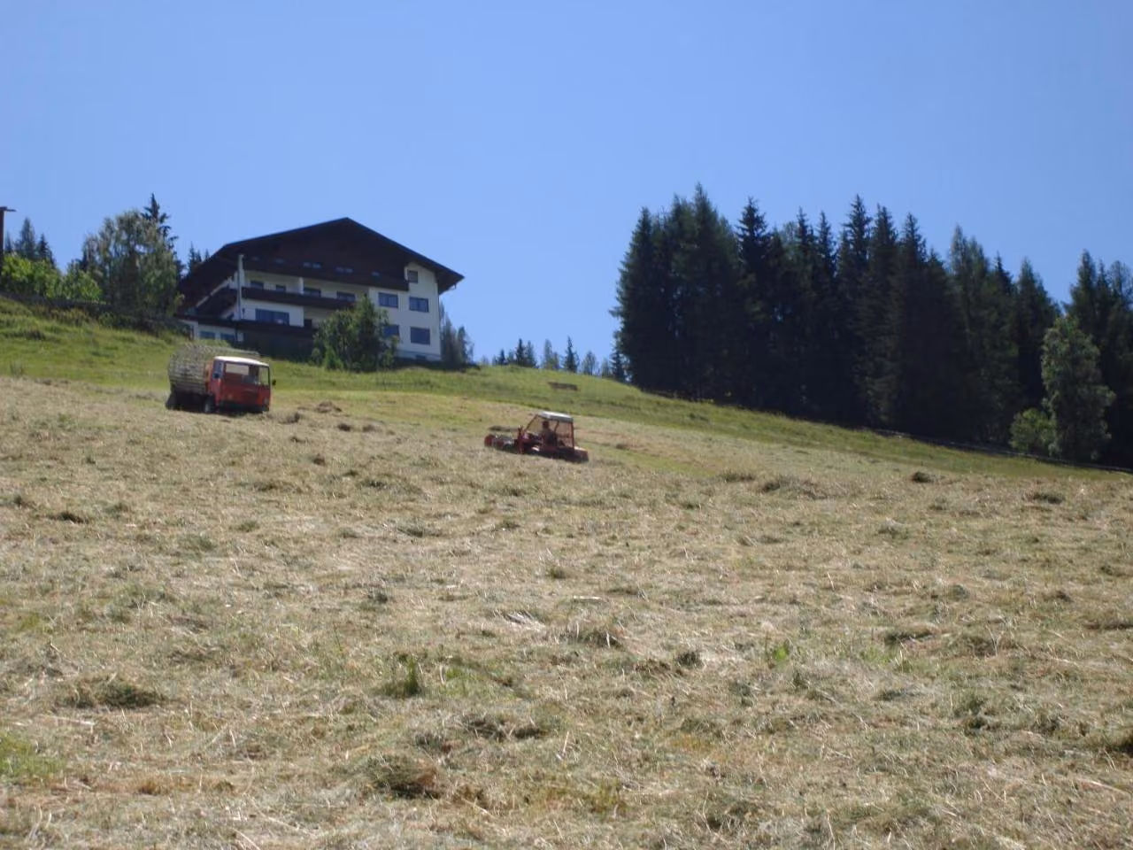 Bild der Unterkunft
