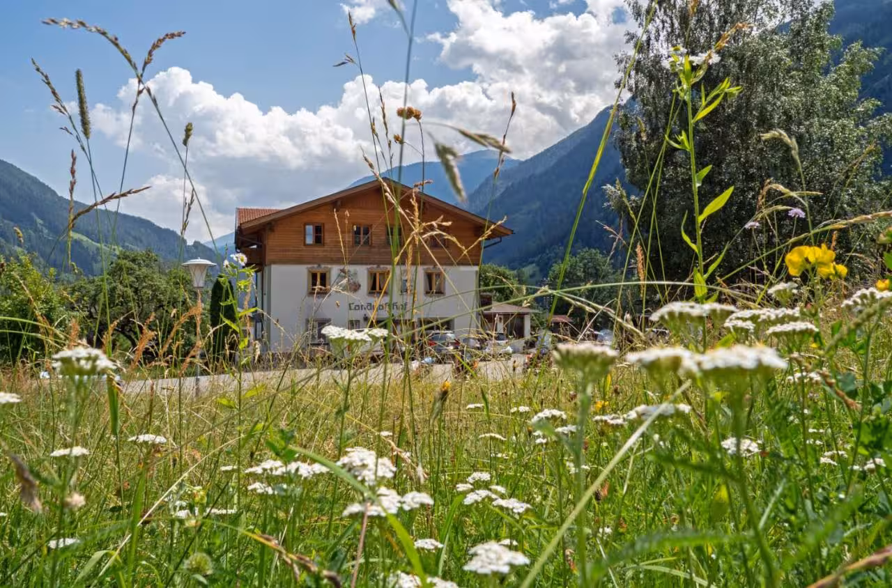 Bild der Unterkunft