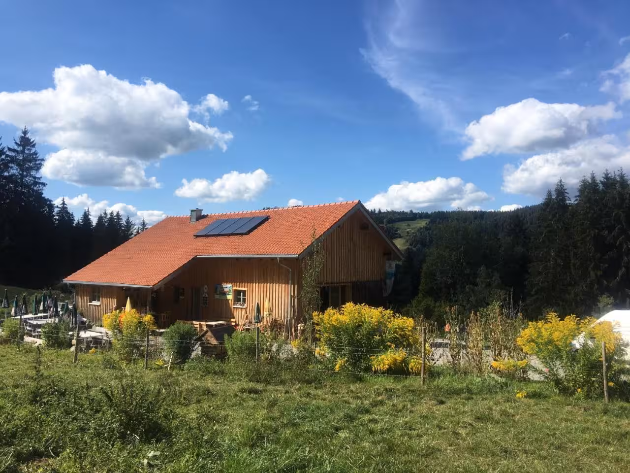 Bild der Unterkunft